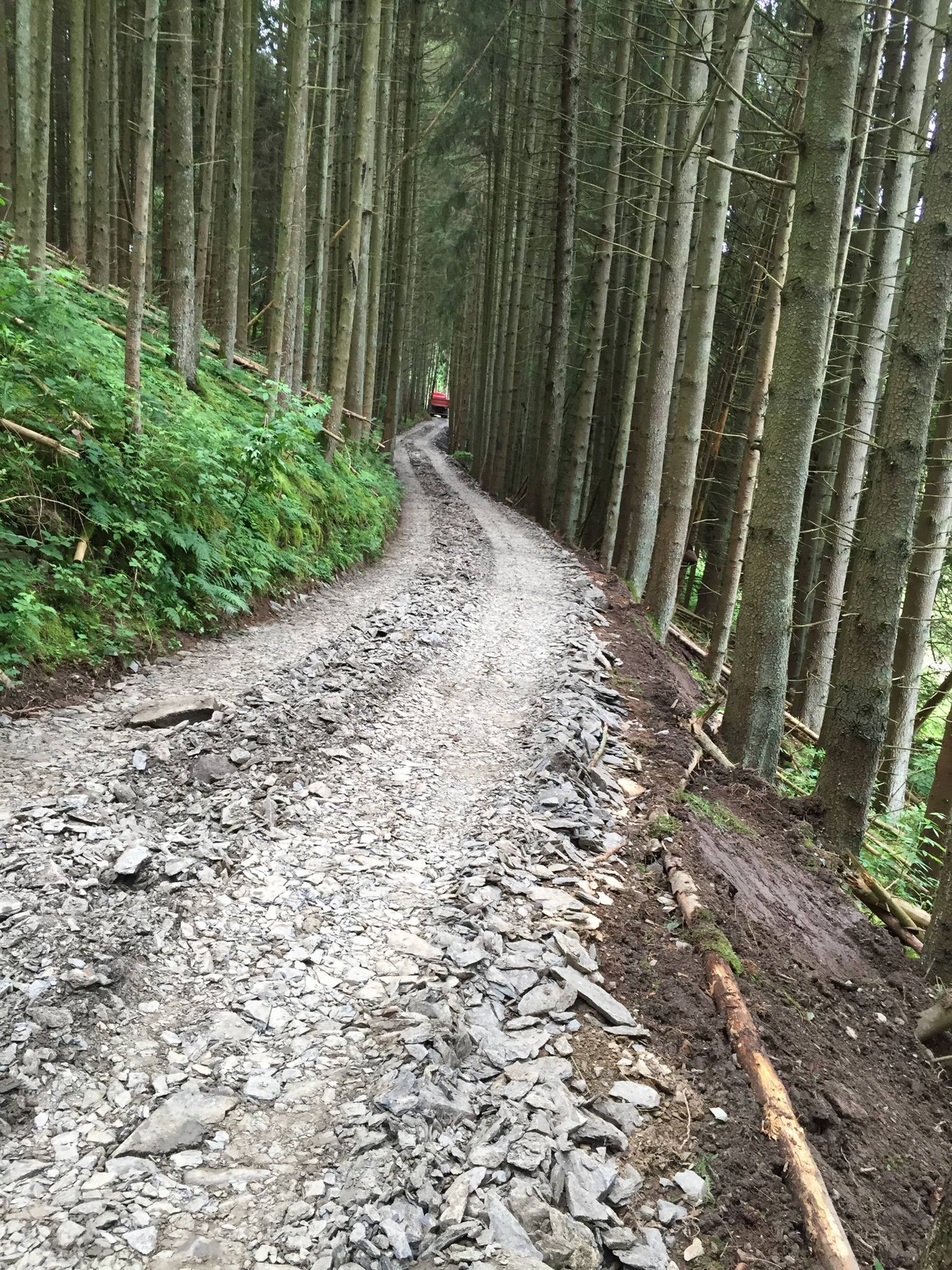 512689060 10022504144501003 1279770729683641128 N